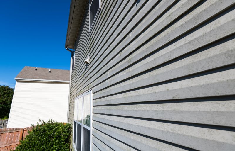New Vinyl Siding Panel