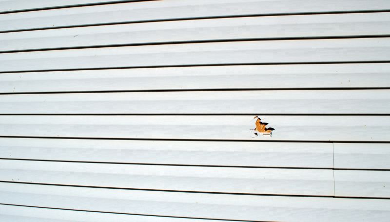 Professional Repair Services